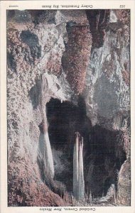 Celery Formation Big Room Carlsbad Cavern New Mexico