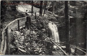 Calendo Falls, Delaware Water Gap PA Vintage Postcard O32