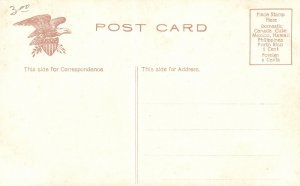 The State Capitol Austin Texas TX Vintage Postcard 1910's