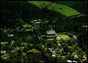 Bird's Eye View of Todaiji Temple,Japan