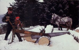 Quechee VT, Timber Village Woodsmen's Museum, Logging Saw, Horse & Wagon, 1950s