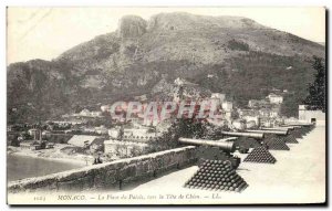 Old Postcard Monaco Place Du Palais The head Dog