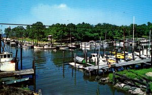 Ocean Springs, Mississippi - The Small Craft Harbor - c1960