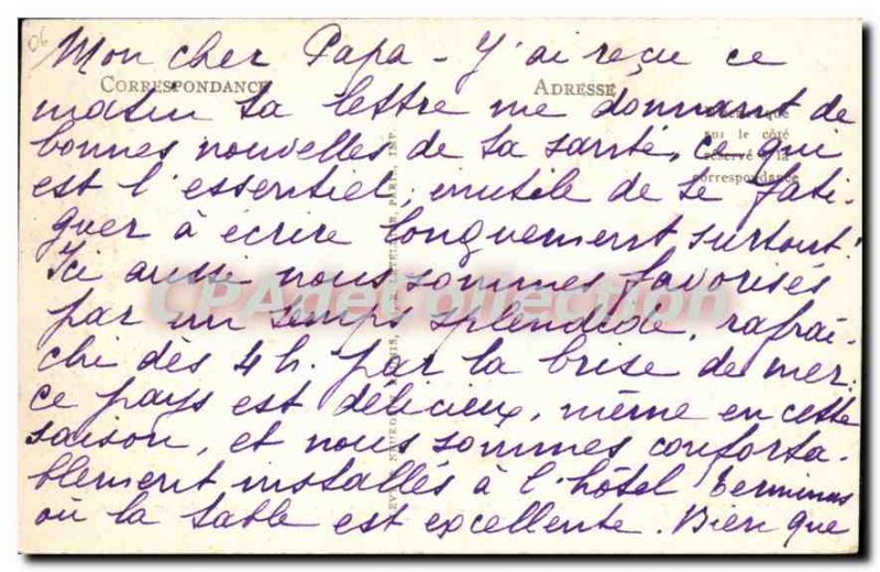 Postcard Old Antibes Panorama Seen A Travers Les Oliviers