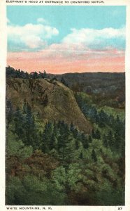 Vintage Postcard 1920's Elephant's Head Entrance Crawford Notch White Mountains