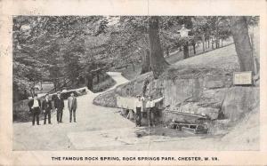 Chester West Virginia Rock Springs Park Famous Rock Spring Postcard J72831