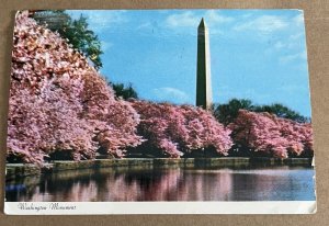 USED POSTCARD 1981 WASHINGTON MONUMENT, WASHINGTON D.C.