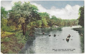 Boating on Brown Lake New York Zoological Park New York City