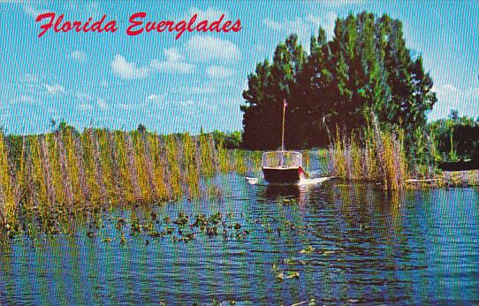 Florida Airboat Ride In The Everglades