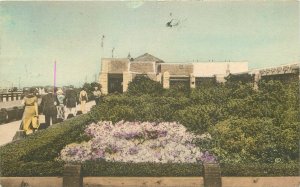 Postcard New York Long Island Jomes Beach State Park Albertype 23-9813