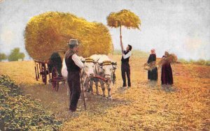 Loading Straw Ox Wagon Farming 1910c postcard