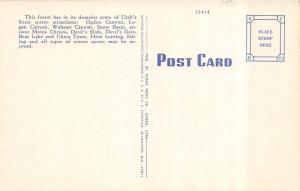 UT, Utah     CARS ENTERING CACHE NATIONAL FOREST     c1940's Linen Postcard
