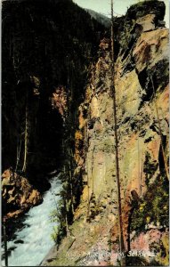 Albert Canyon Selkirks Divided Back Antique Postcard Stephen Thompson Vancouver 