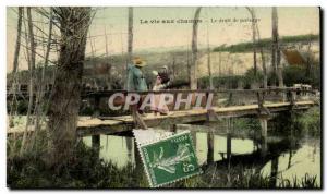 Life in the fields Old Postcard TOP ROW