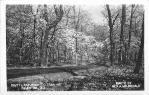 Davey Lake Dogwood Trail Palestine Texas 1950 RPPC Photo Postcard 12451