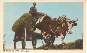 CANADA, Yarmouth NS, Man in Ox Cart, 1945 Postmark, Hay, Farm, Nova Scotia