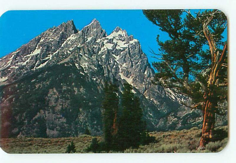 Vintage Postcard Grand Teton National Park Jackson Hole Wyoming  # 2574