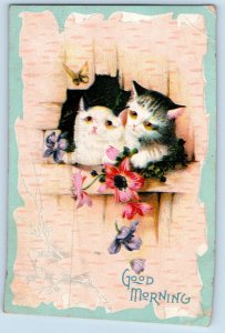 Red Wing Minnesota MN Postcard Good Morning Cat Kittens Flowers Butterfly 1910