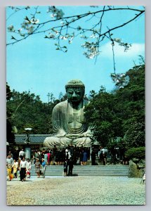 Japan The great buddha at kamakura Handsome Budda