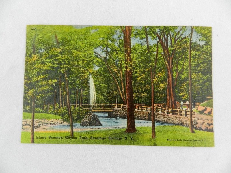 VINTAGE POSTCARD ISLAND SPOUTER GEYSER PARK SARATOGA SPRINGS NEW YORK