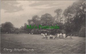 Surrey Postcard - Elleray School Grounds RS31860