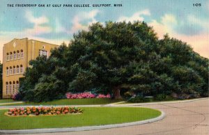 The Friendship Oak on the old Gulf Park Campus,  Long Beach , MS Linen Postcard