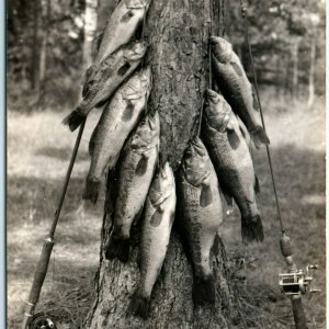 1944 Nisswa, Minn. Gull Lake RPPC Fish Catch Real Photo Postcard Bass Caster A4