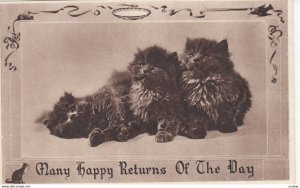 Three Black Cats , 00-10s