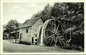 RPPC Grist Mill overshot wheel Bryson City North Carolina Postcard