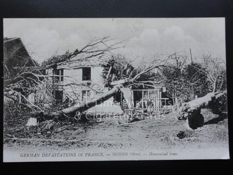 WW1 German Devastation in France - NOYON (Oise) - Dynamited Trees