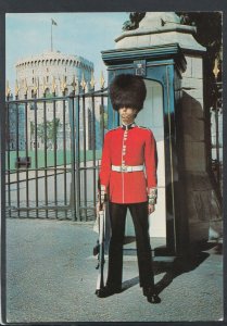 Military Postcard -  A Scots Guard Sentry at Windsor Castle    T8679