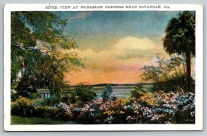 Wormsloe Gardens  Savannah  Georgia   Postcard  1928