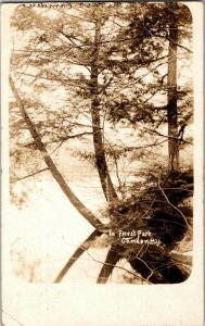 RPPC View Along Lake Shore In Forest Park, Camden NY c1907 Vintage Postcard W27