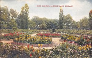 Chicago Illinois c1910 Postcard Rose Garden Jackson Park