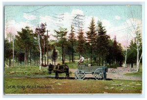 Us Mule Team Fort Mckinley ME Maine Postcard (AT12)