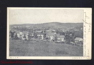 LIBERTY NEW YORK BIRDSEYE VIEW ANTIQUE VINTAGE POSTCARD NY 