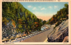 New York Adirondacks Thje Ausable River and Wilmington Notch Between Lake Pla...