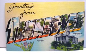 Greetings From Tennessee Large Letter Postcard Unused Linen Tichnor Iris Flowers