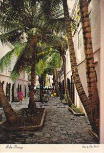 St Thomas CHarlotte Amalie Palm Passage Shopping Alley