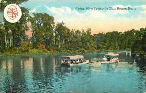 FL, Silver Springs, Florida, Glass Bottom Boats, Cur Teich No. A-54708