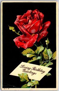 1910's Red Roses with Letter Large Letter Birthday Greetings Posted Postcard