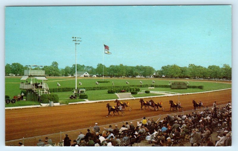 LEXINGTON, Kentucky KY ~ Harness Racing LEXINGTON TROTTING TRACK 1960s  Postcard 