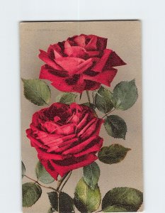 Postcard Duchess Of Albany