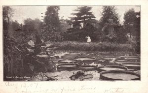 Vintage Postcard 1907 Tower Grove Park Tourist Attraction St. Louis Missouri MO