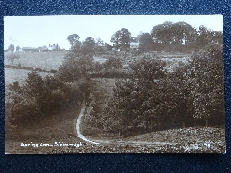 Kent BIDBOROUGH Spring Lane - Old RP Postcard by H. Camburn / W.E. Nash