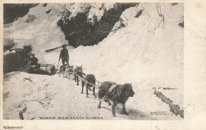 ALASKA~YUKON DOG SLED TEAM~1900s ALBERTYPE PHOTO POSTCARD