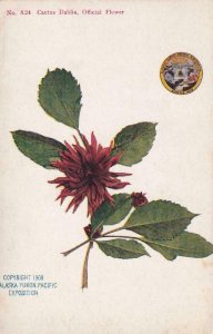 Alaska-Yukon-Pacific Expo: Cactus Dahlia, Official Flower, Mint (PC728)