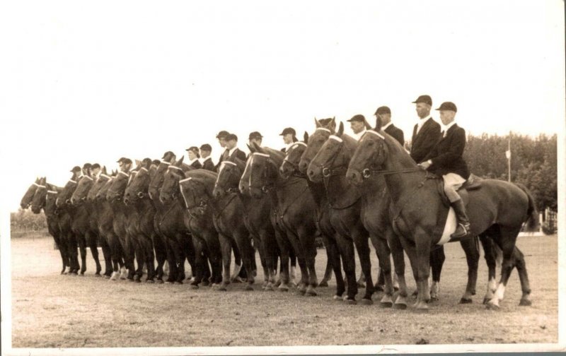 Horse Sport Emmeloord Real Photo 03.00