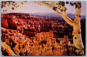 Vtg Utah UT Bryce Canyon from Sunset Point Scenic View Postcard