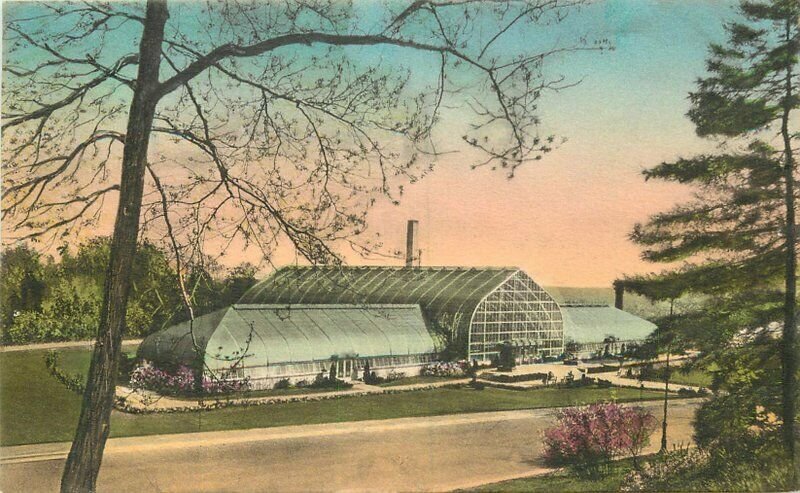 Albertype Cincinnati Ohio Eden Park Conservatory  Postcard hand colored 20-7578